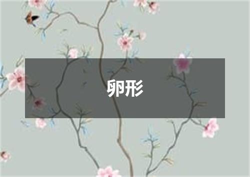 卵形