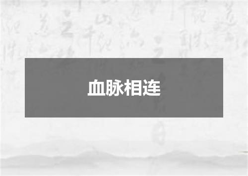 血脉相连