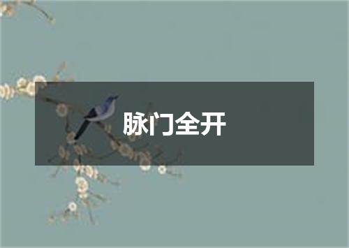 脉门全开