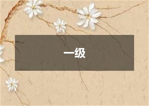 一级