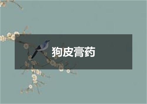 狗皮膏药