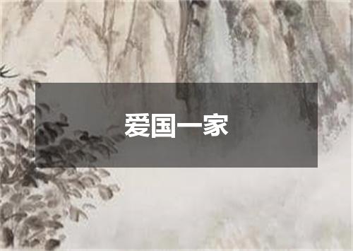 爱国一家