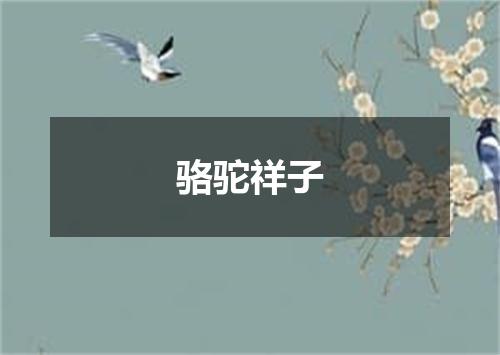 骆驼祥子
