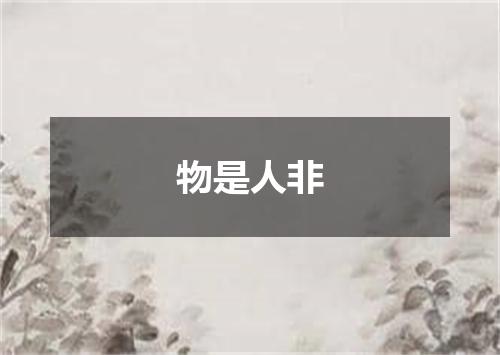 物是人非
