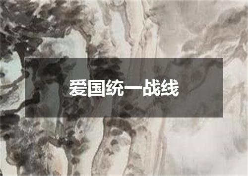 爱国统一战线