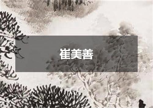 崔美善
