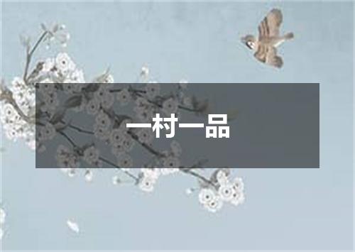 一村一品