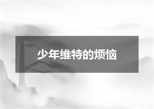少年维特的烦恼