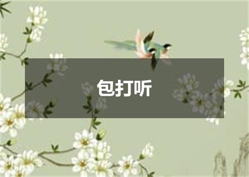 包打听