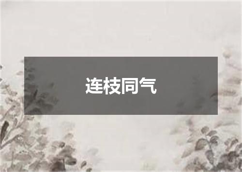 连枝同气