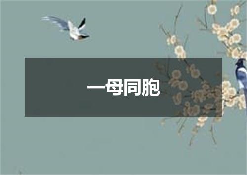 一母同胞