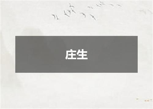 庄生