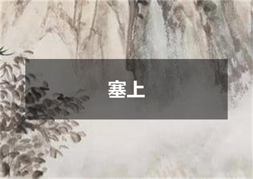 塞上