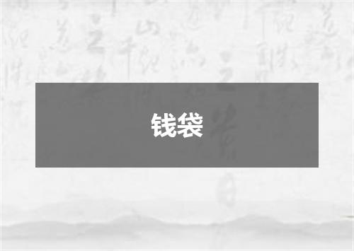 钱袋