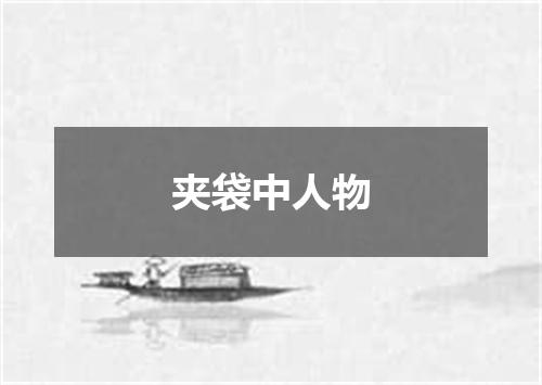 夹袋中人物