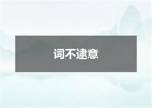 词不逮意