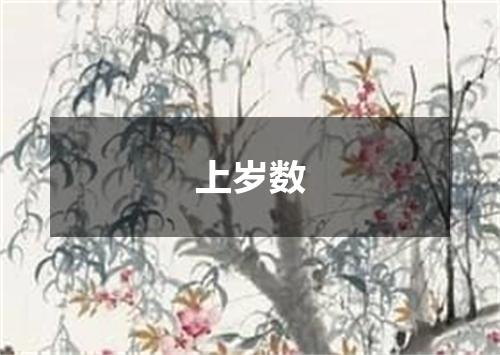 上岁数