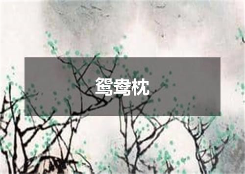 鸳鸯枕
