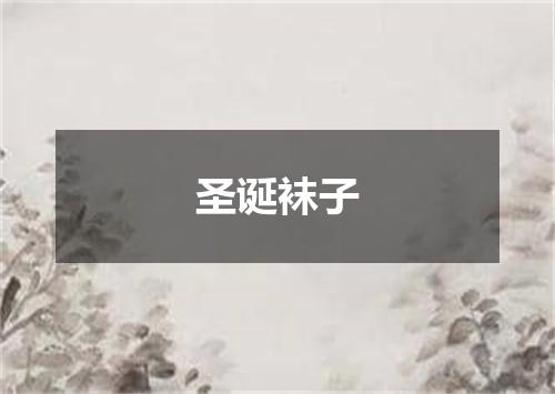 圣诞袜子