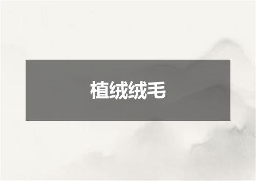 植绒绒毛