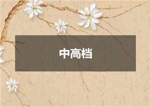 中高档