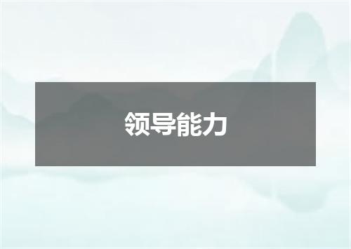 领导能力