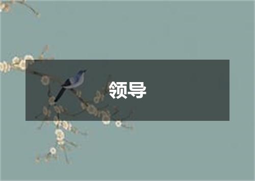 领导
