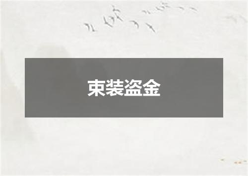 束装盗金