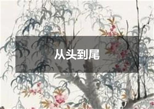 从头到尾