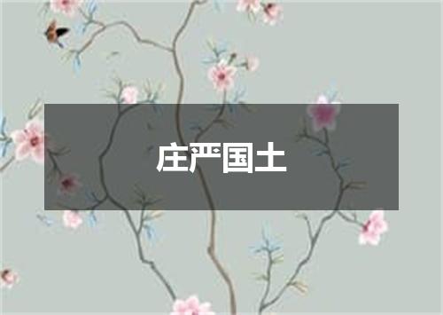 庄严国土