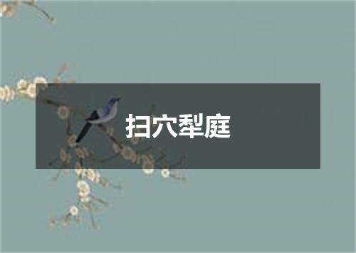 扫穴犁庭
