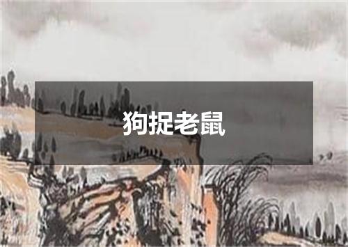 狗捉老鼠