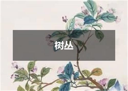 树丛