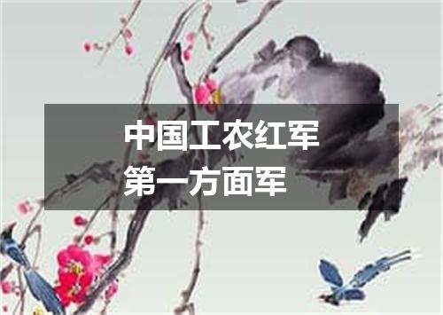中国工农红军第一方面军