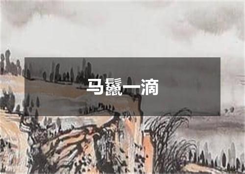 马鬣一滴