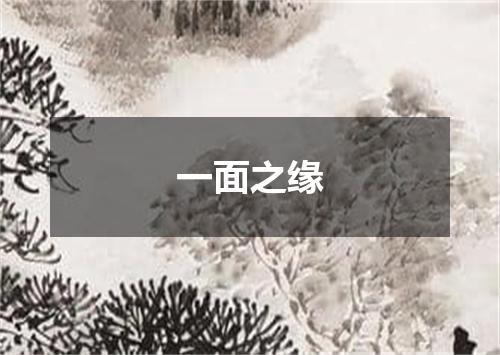 一面之缘