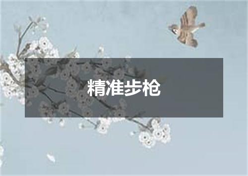 精准步枪