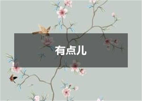 有点儿