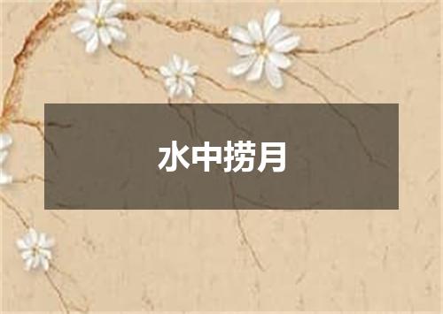水中捞月