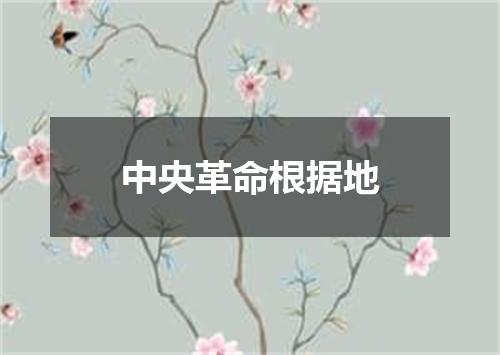 中央革命根据地