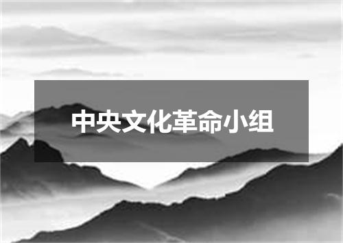 中央文化革命小组