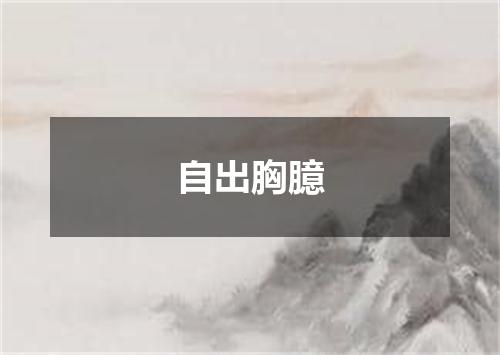 自出胸臆
