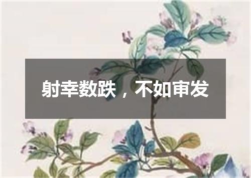 射幸数跌，不如审发