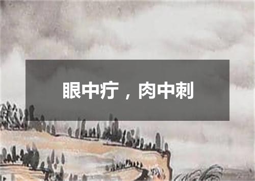 眼中疔，肉中刺