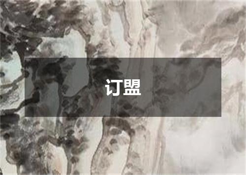 订盟