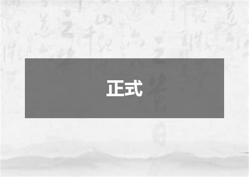 正式