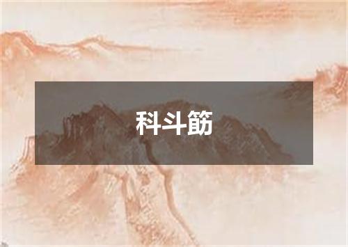 科斗筯