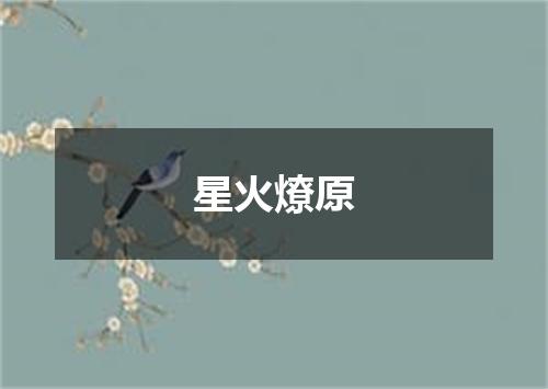 星火燎原