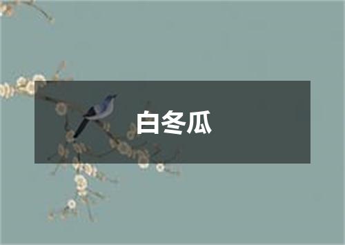 白冬瓜