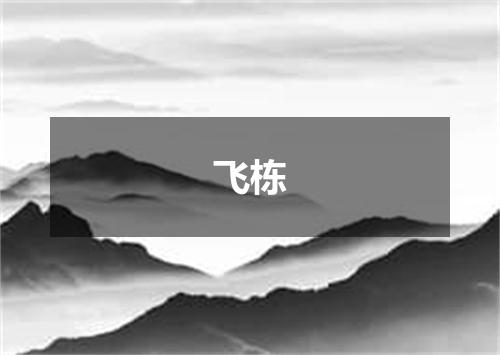 飞栋